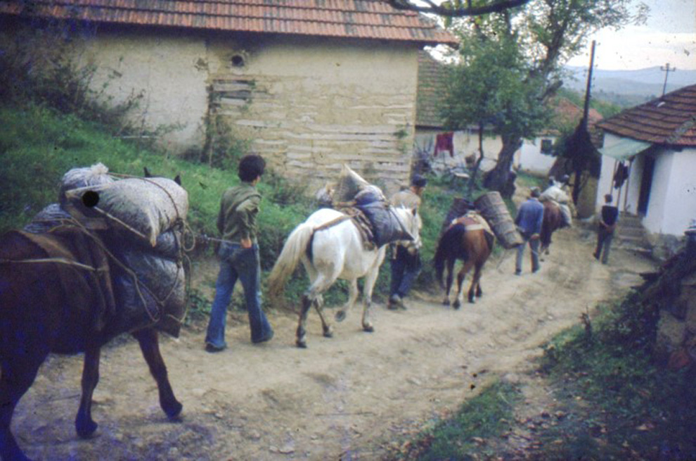 podrum cokot istorija