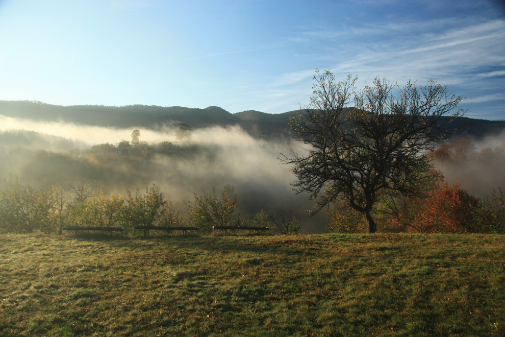 destilerija tok na planini goč