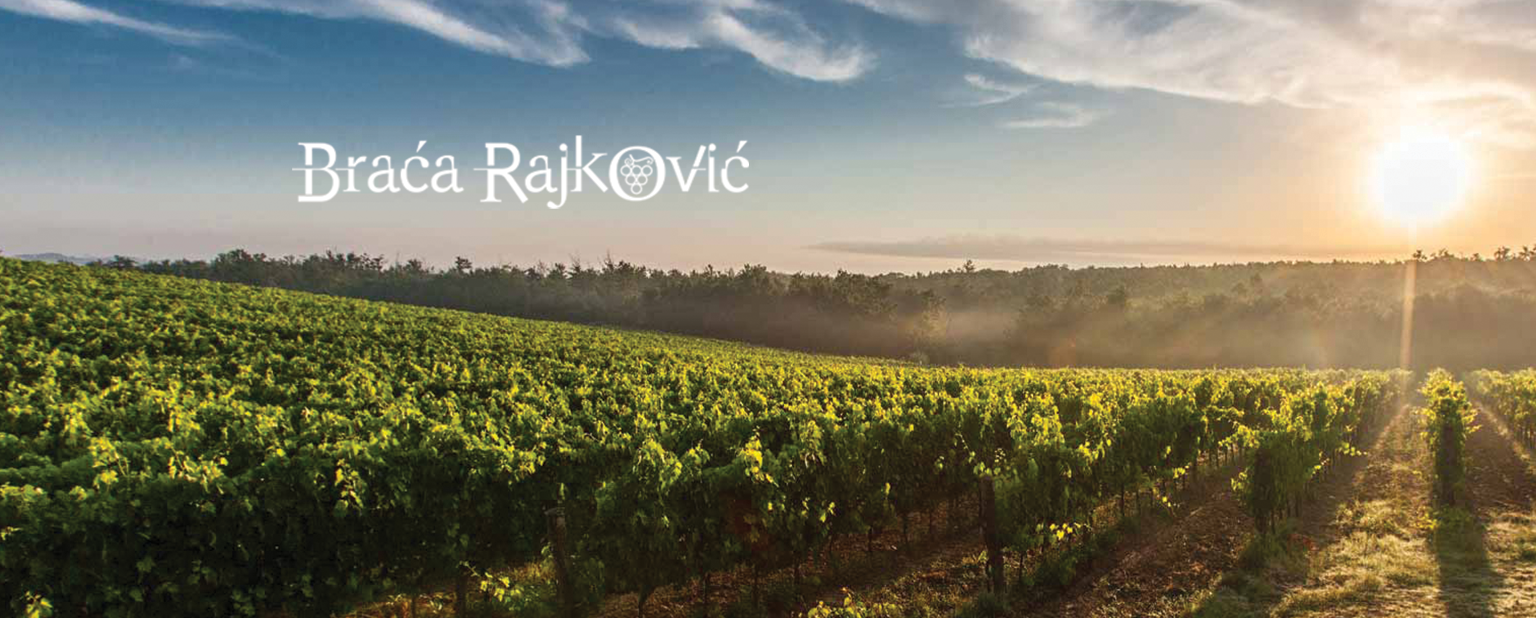 VINARIJA BRAĆA RAJKOVIĆ