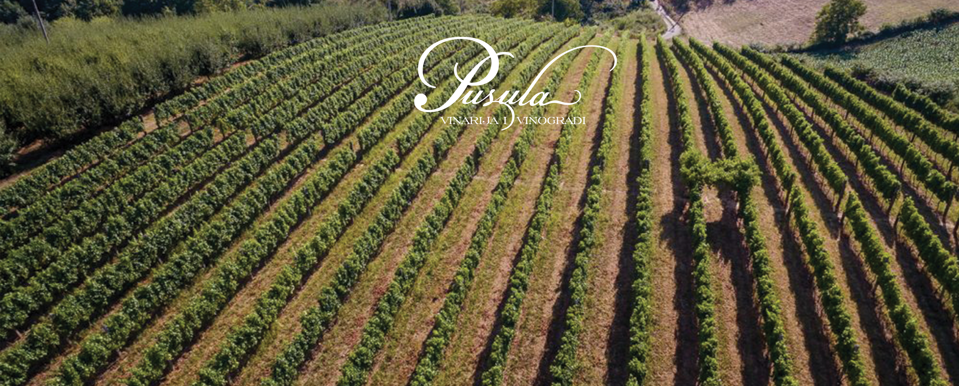 VINARIJA PUSULA