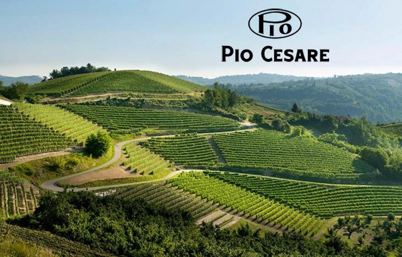 Vinarija Pio Cesare