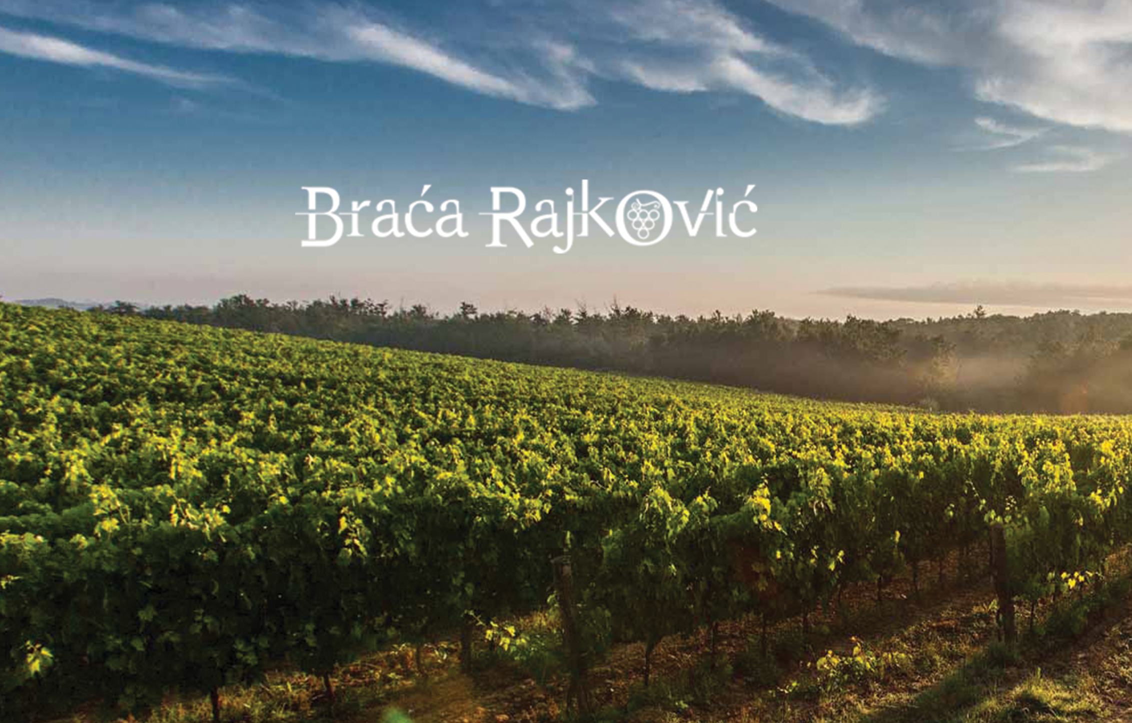 VINARIJA BRAĆA RAJKOVIĆ