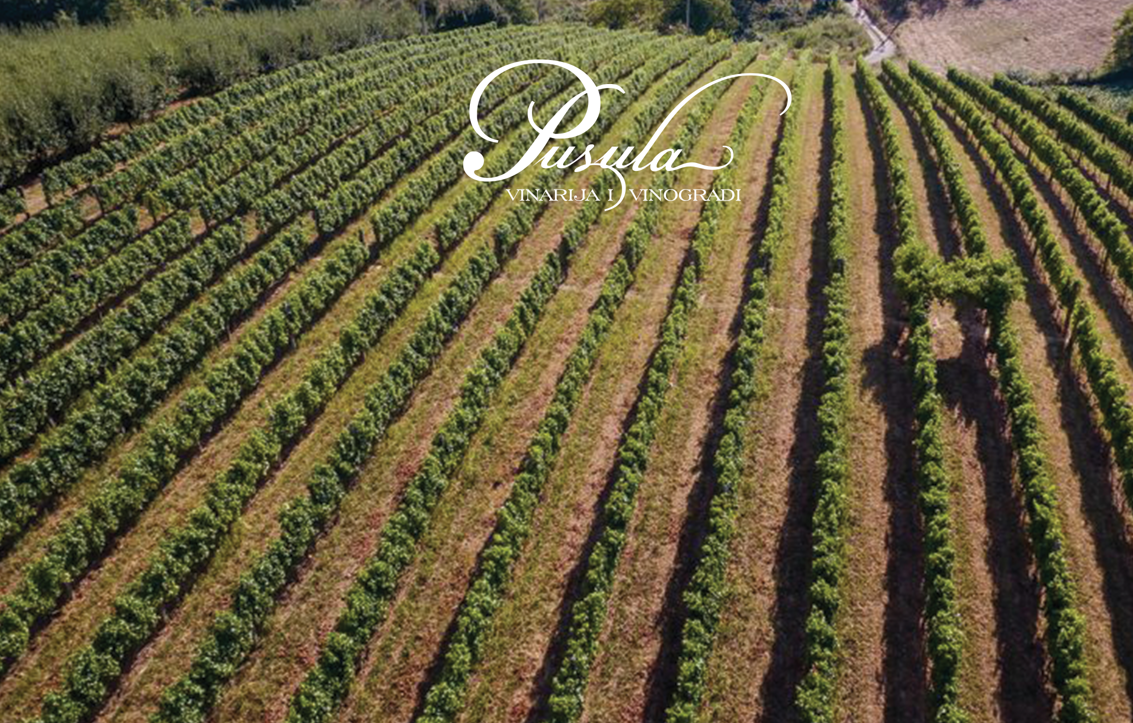 VINARIJA PUSULA