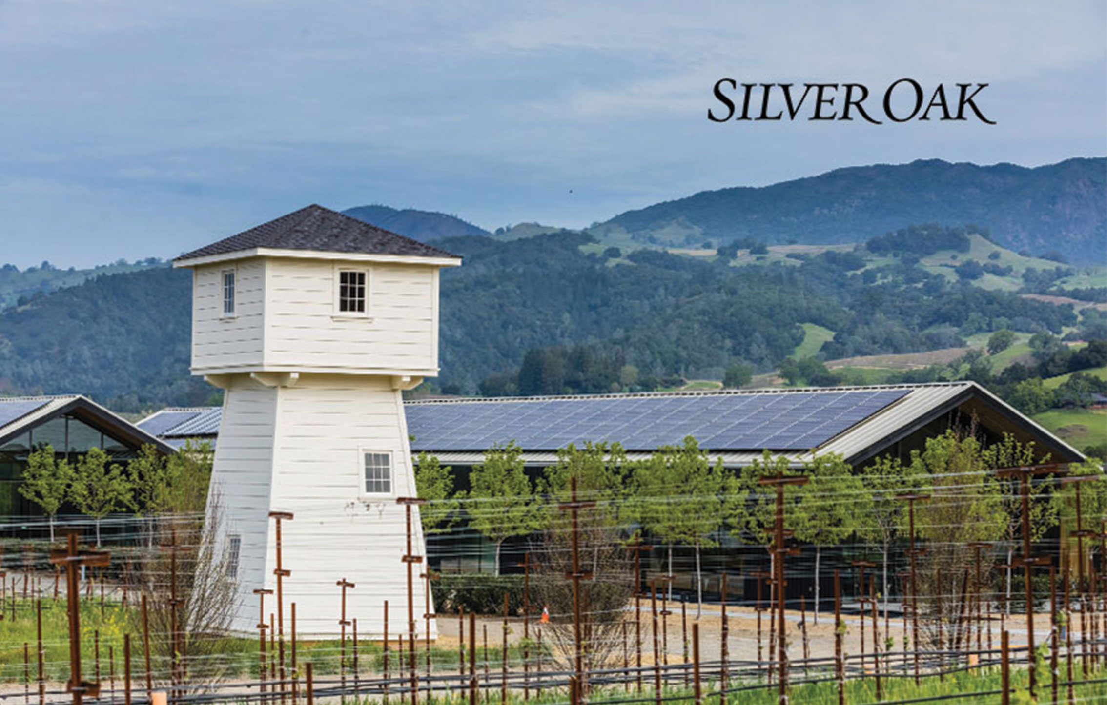 Vinarija Silver Oak