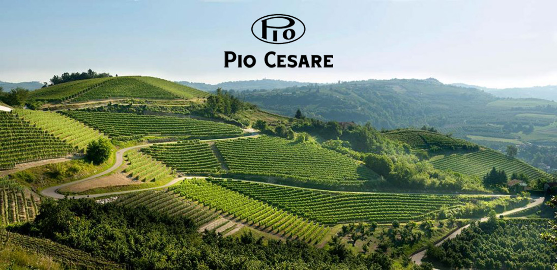 Vinarija Pio Cesare
