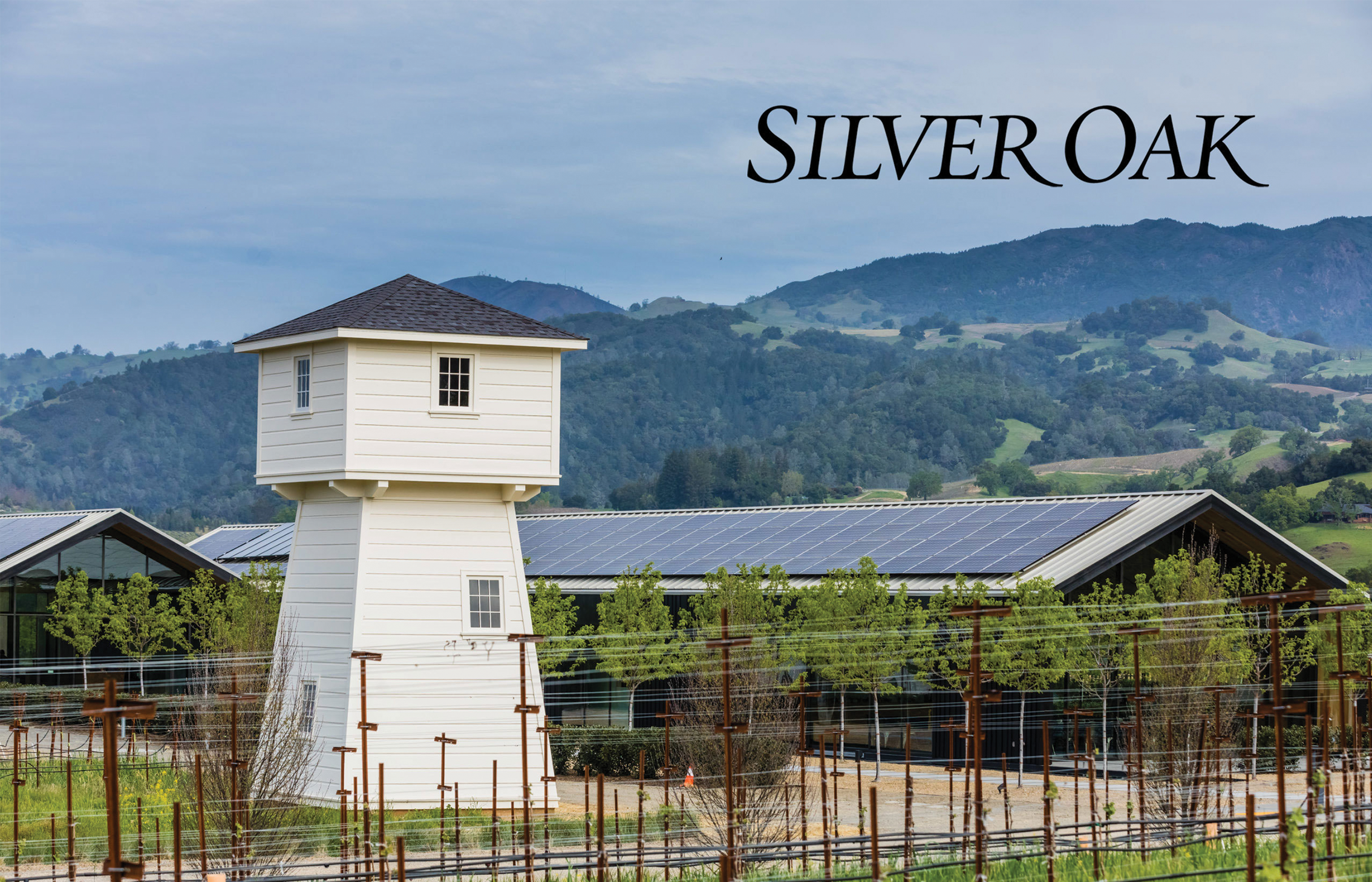 Silver Oak