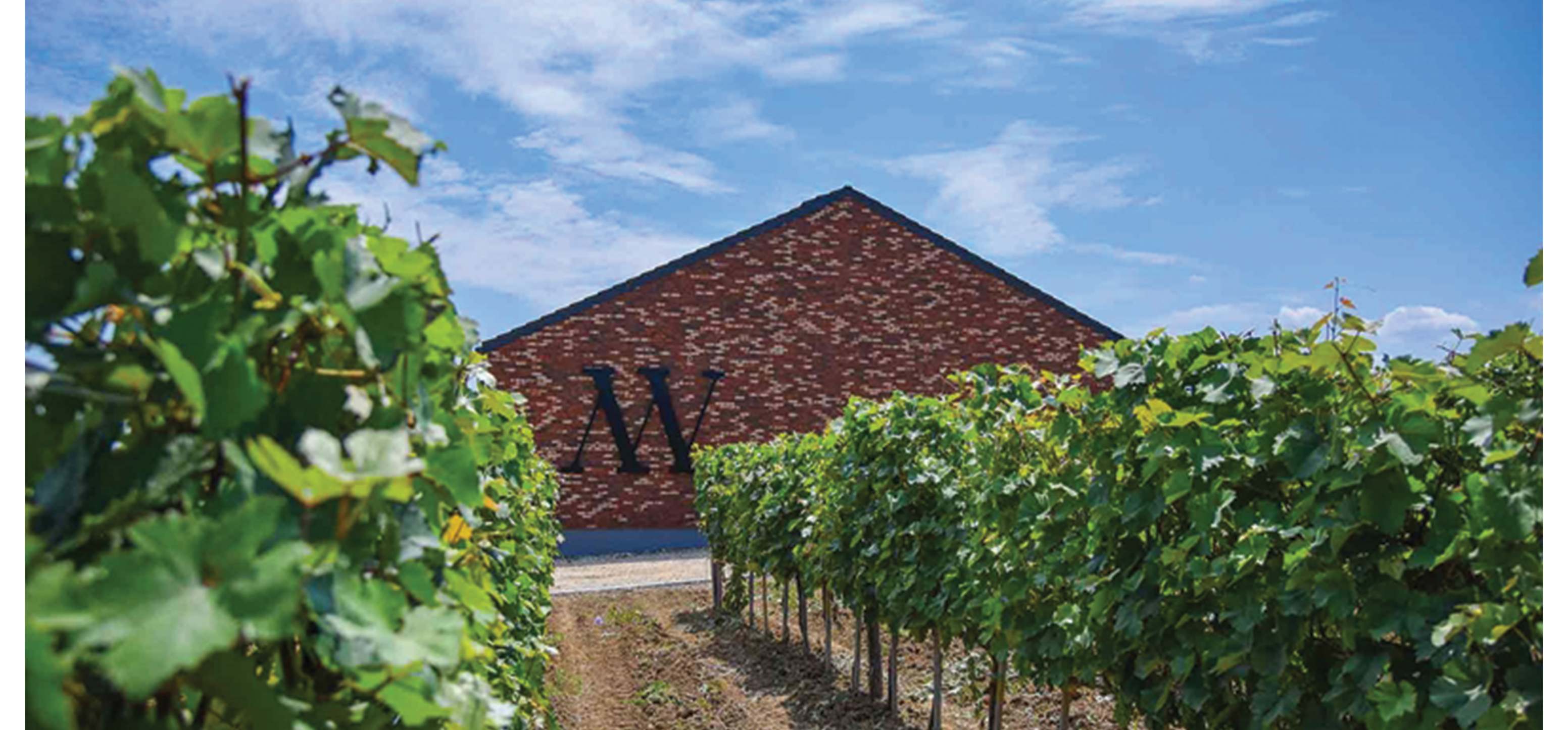 MATALJ VINARIJA