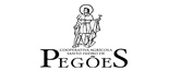 St. Isidro de Pegoes