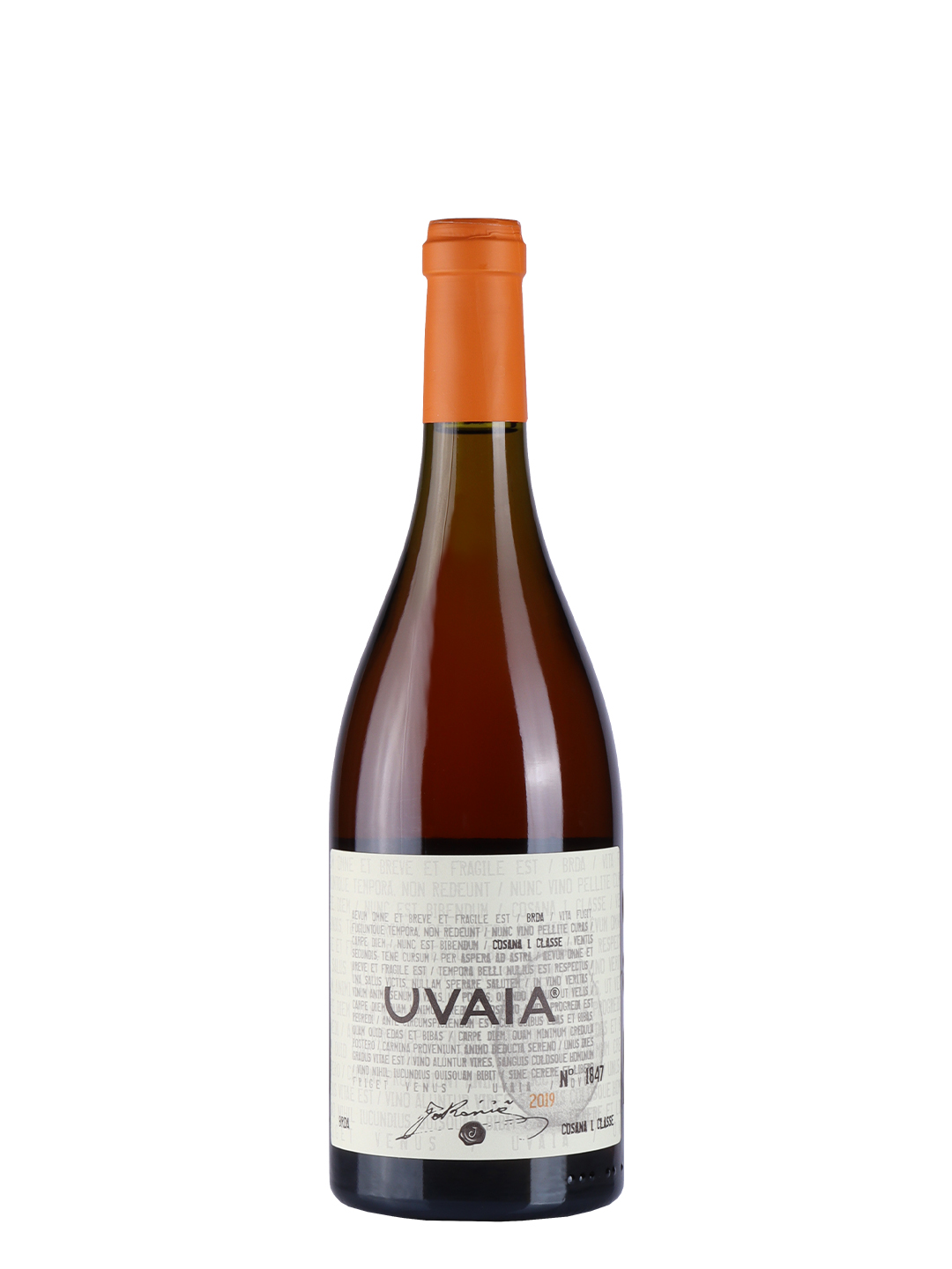 Jakončić Uvaia