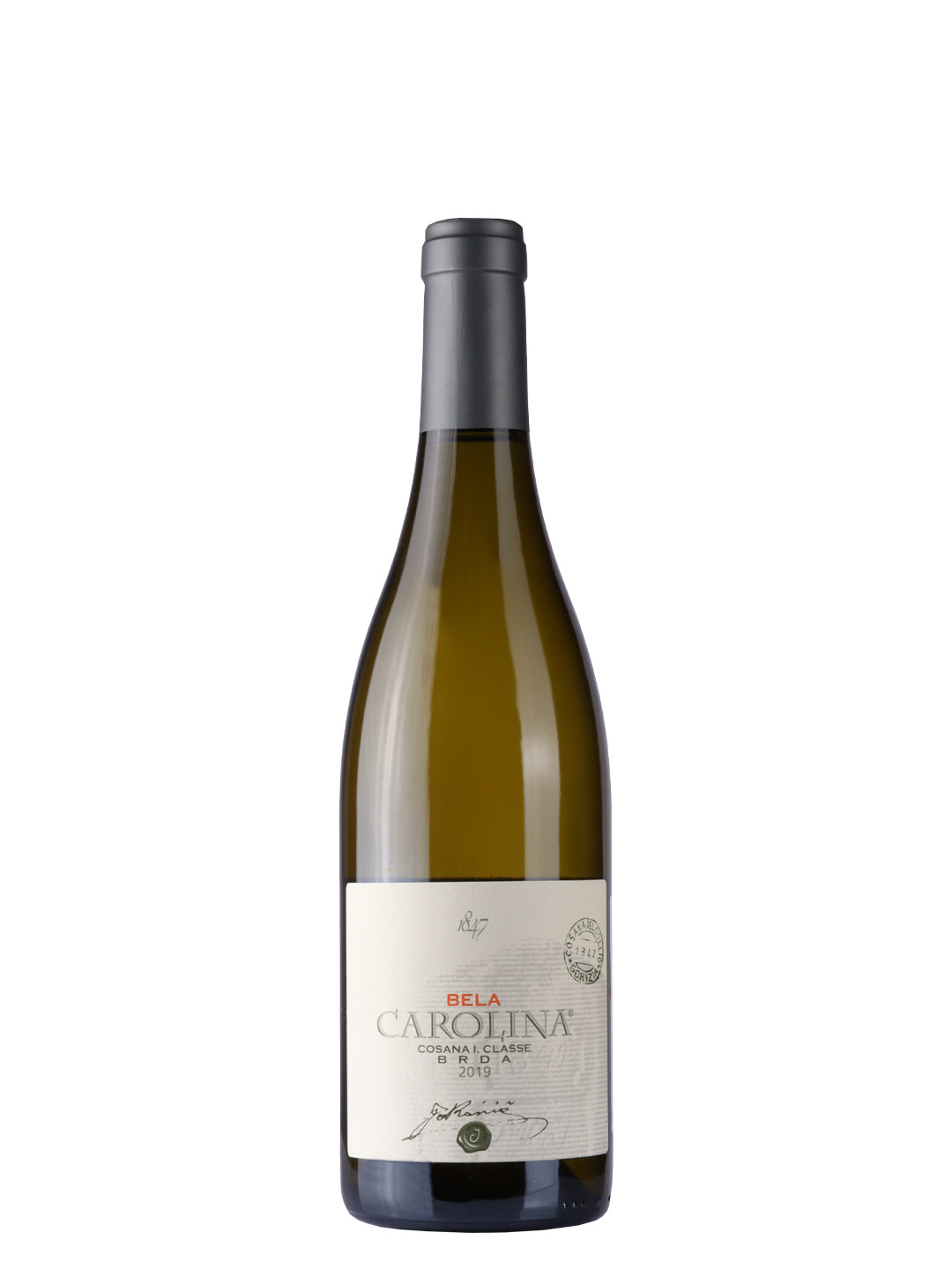 Jakončić White Carolina