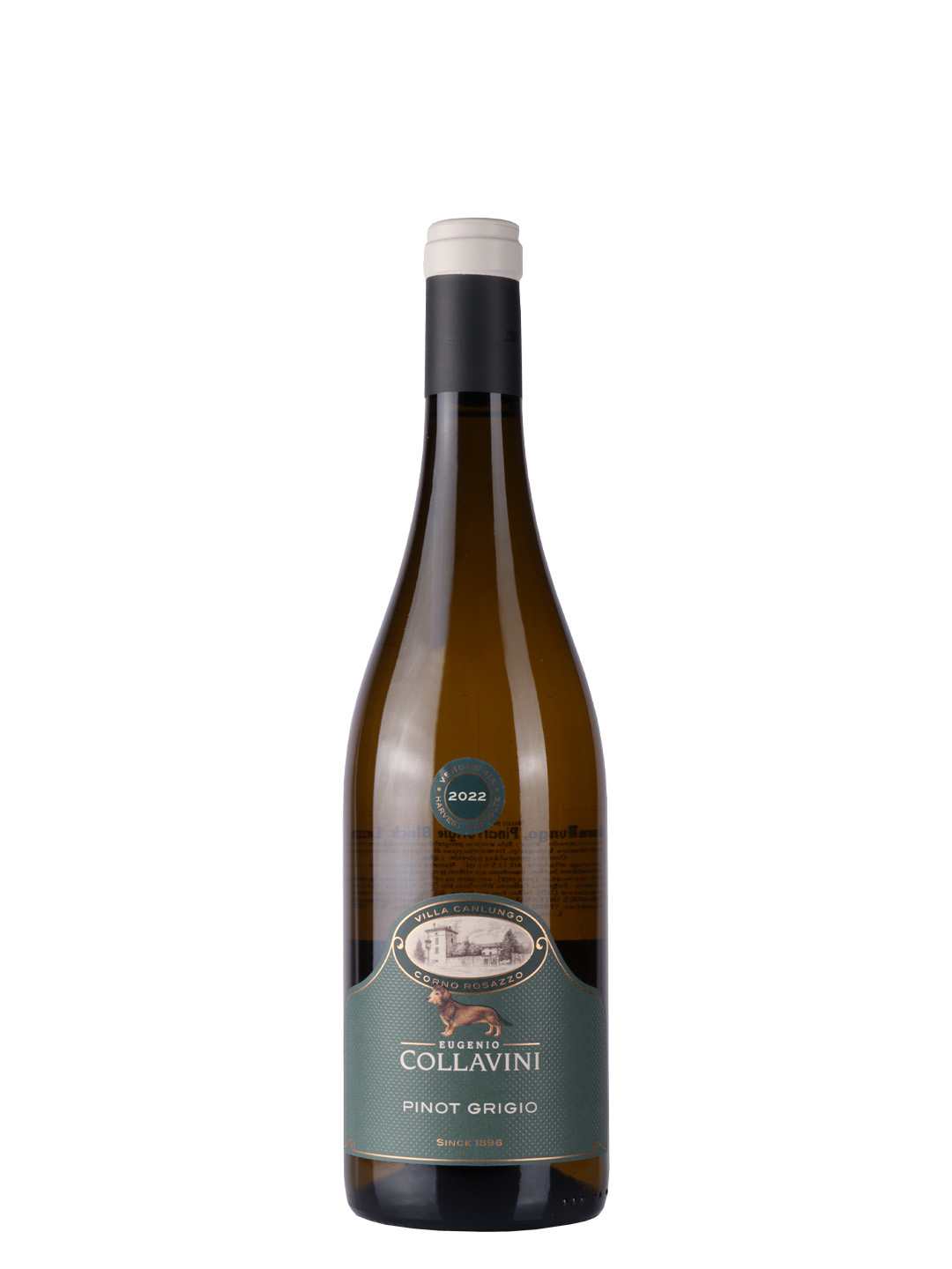 Collavini Pinot Grigio