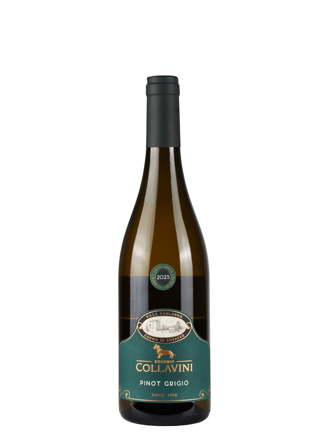 Collavini Pinot Grigio 