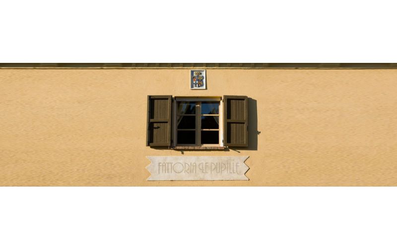 Vinarija Fatoria le Pupille