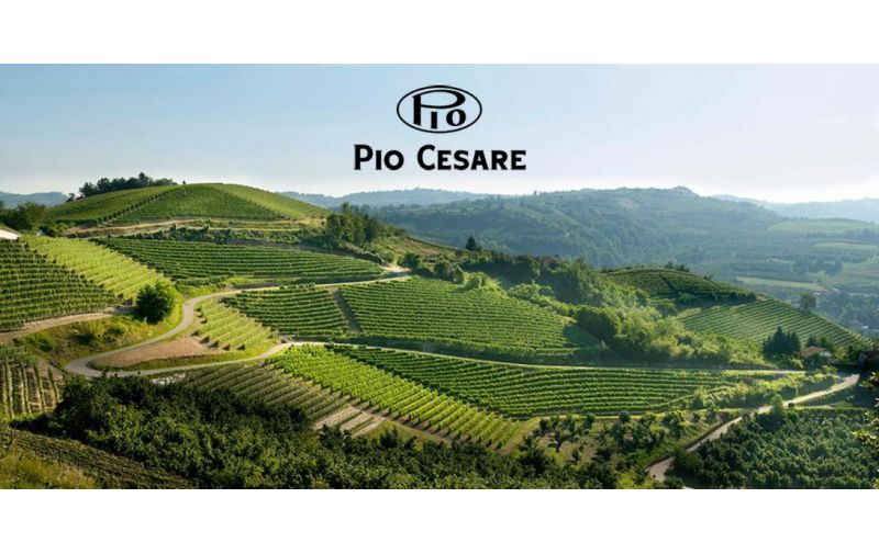 Vinarija Pio Cesare