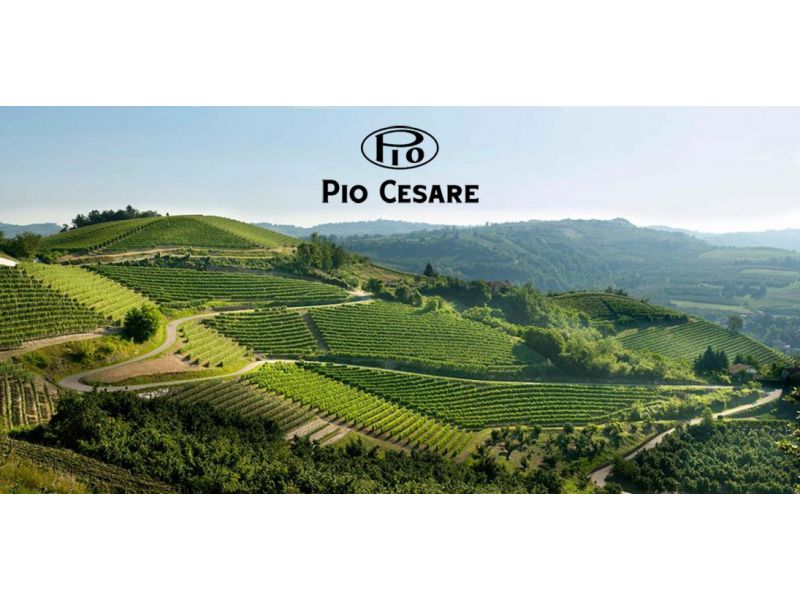 Vinarija Pio Cesare