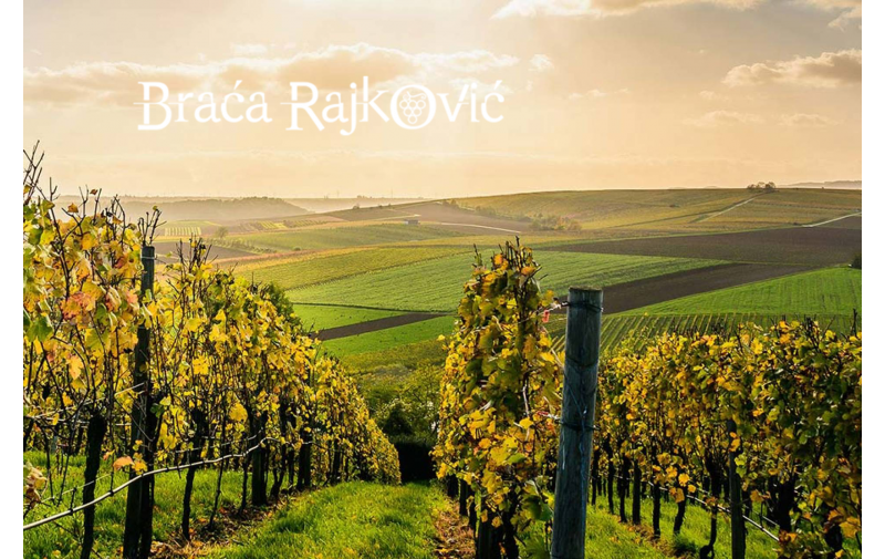 VINARIJA BRAĆA RAJKOVIĆ