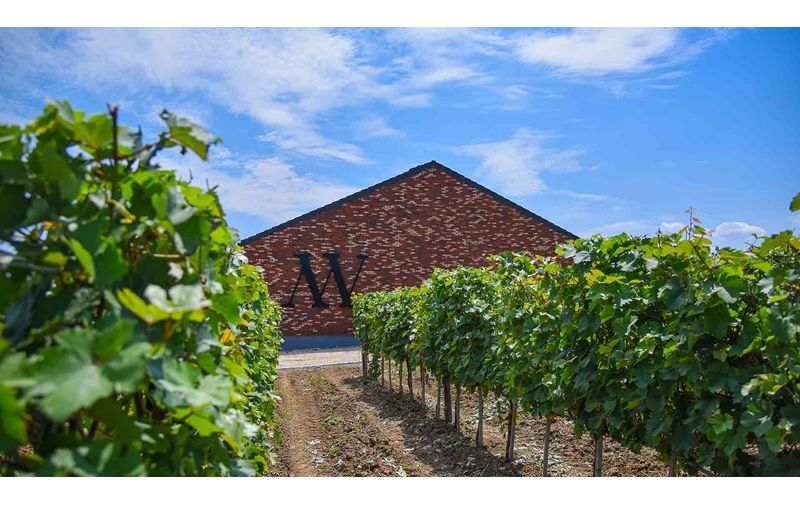 MATALJ VINARIJA