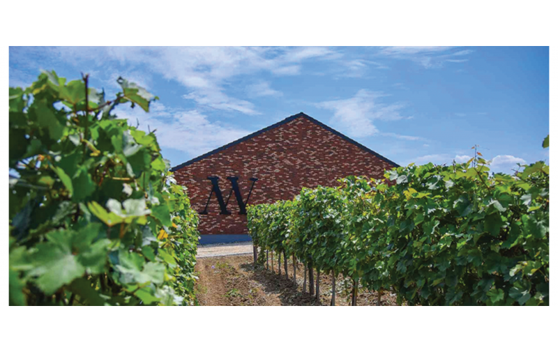 MATALJ VINARIJA