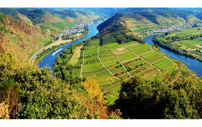 Mosel: Vinska regija ekstrema