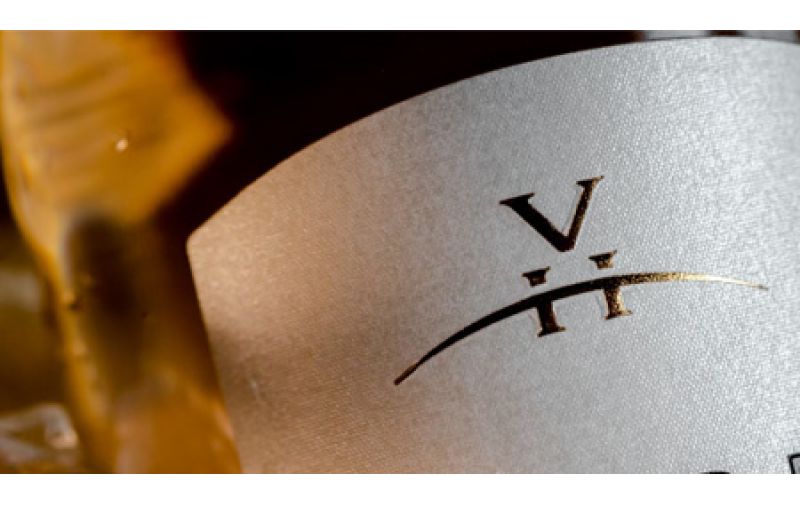 Vista Hill: Nova zvezda na srpskom vinskom