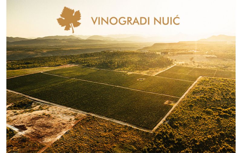 Vinogradi Nuić