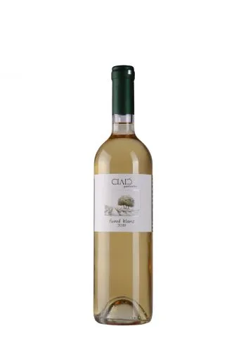 Cilić Fume Blanc 