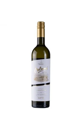 Colome Torrontes 