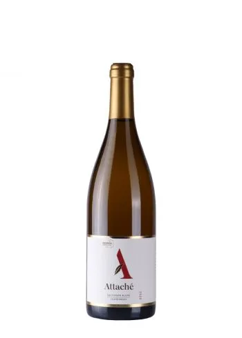 Andrića Vinograd Attache 