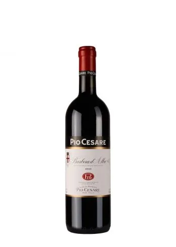 Pio Cesare Barbera D'Alba 