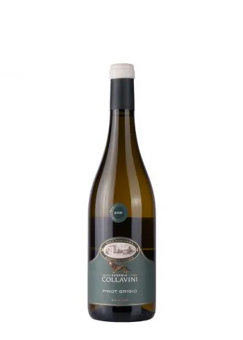 Collavini Pinot Grigio 