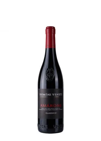 Domini Veneti Amarone della Valpolicella 