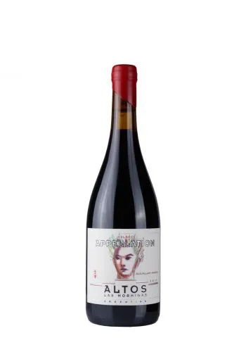 Altos Malbec Apellation Gualtallary 