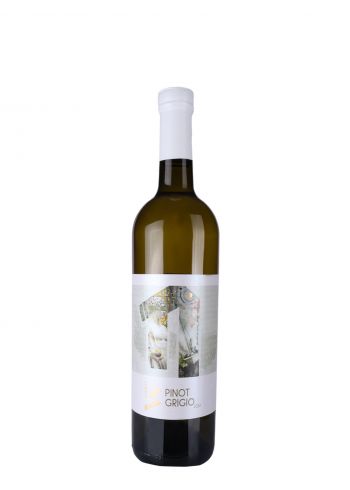 Virtus Pinot Grigio 