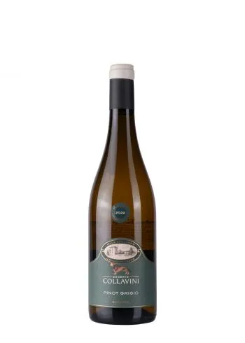 Collavini Pinot Grigio 