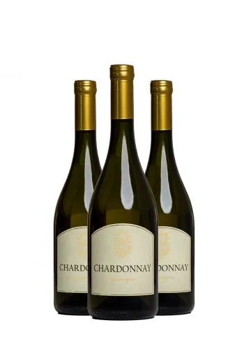 AKCIJA 2+1 Magaza Chardonnay 
