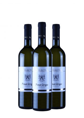 AKCIJA 2+1 Selecta Pinot Grigio 