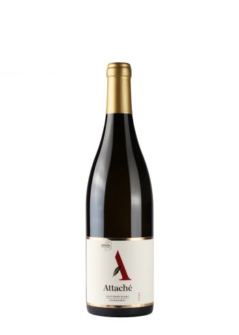 Andrića Vinograd Attache 