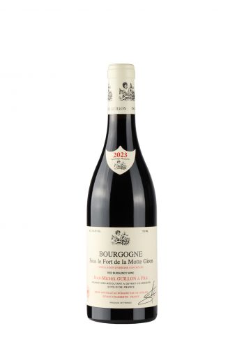 Jean Michel Guillon Bourgogne 