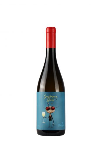 Rnjak Sauvignon Blanc 