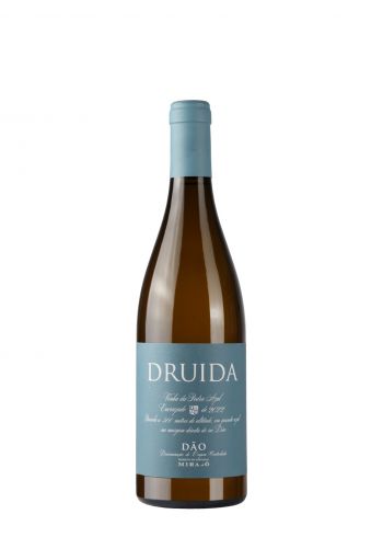 Mira Do O Druida Vinha Da Pedra Azul 