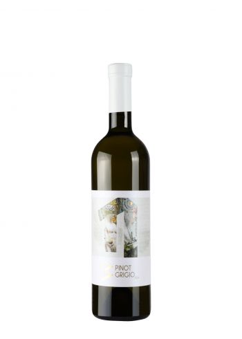 Virtus Pinot Grigio 
