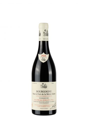 Jean Michel Guillon Bourgogne 