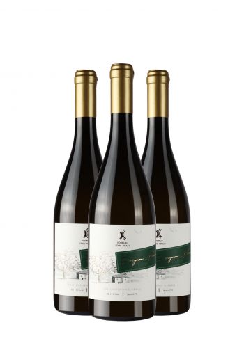 AKCIJA 2+1 Stari Hrast Sauvignon Blanc 