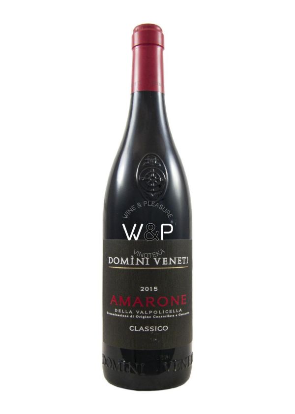 Domini Veneti Amarone della Valpolicella 