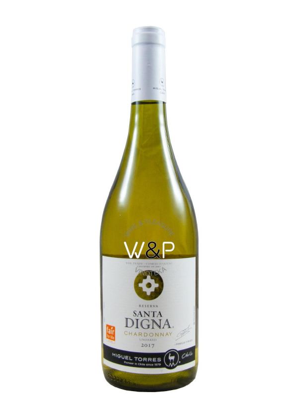 AKCIJA 1+1 Torres Santa Digna Chardonnay Reserva 