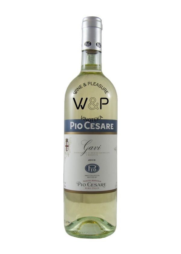 Pio Cesare Gavi 