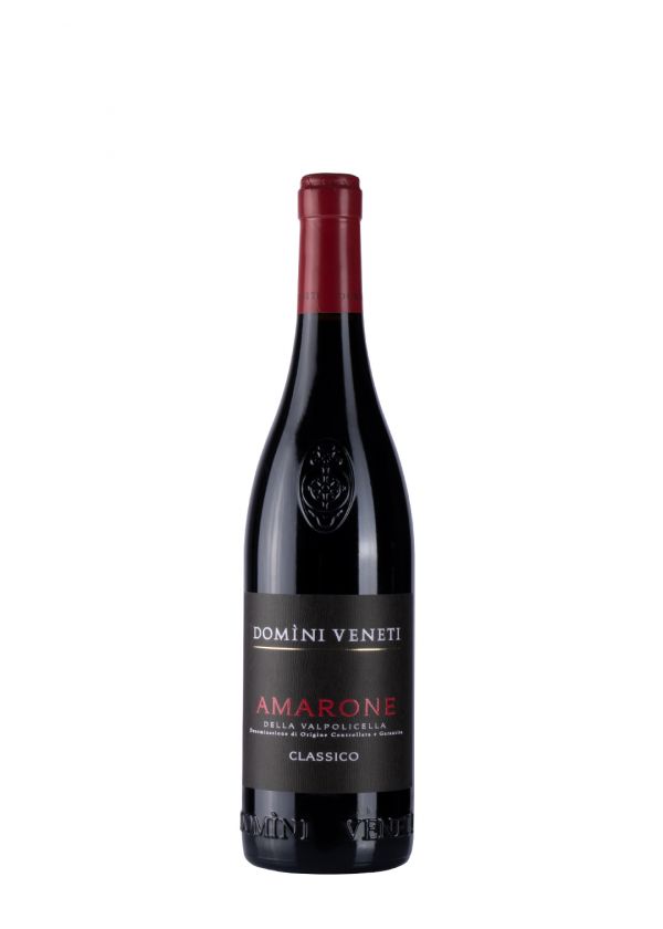 Domini Veneti Amarone della Valpolicella 