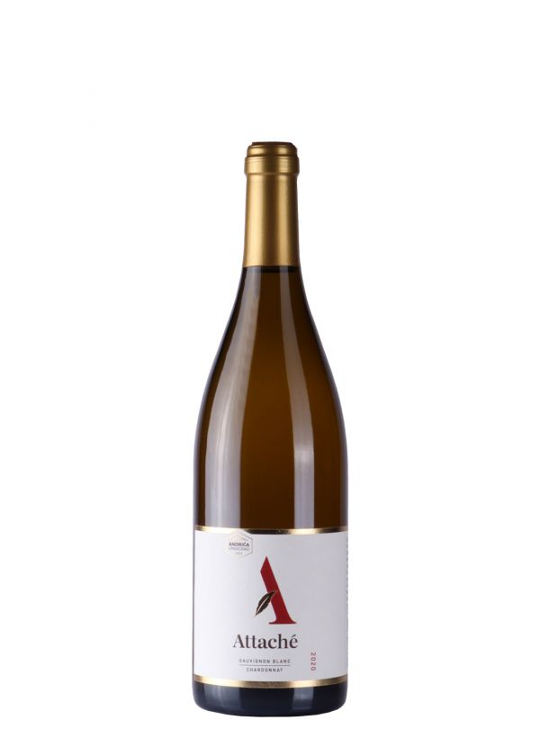 Andrića Vinograd Attache 