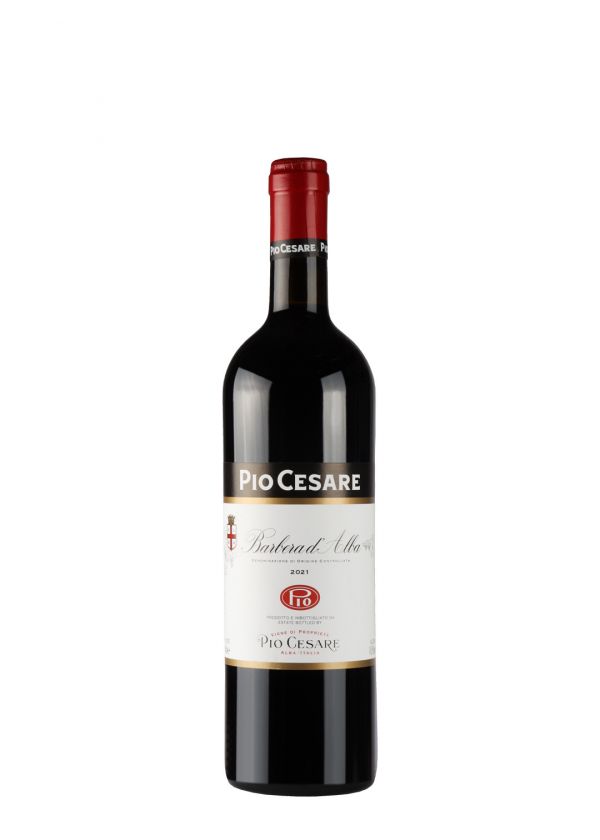 Pio Cesare Barbera D'Alba 
