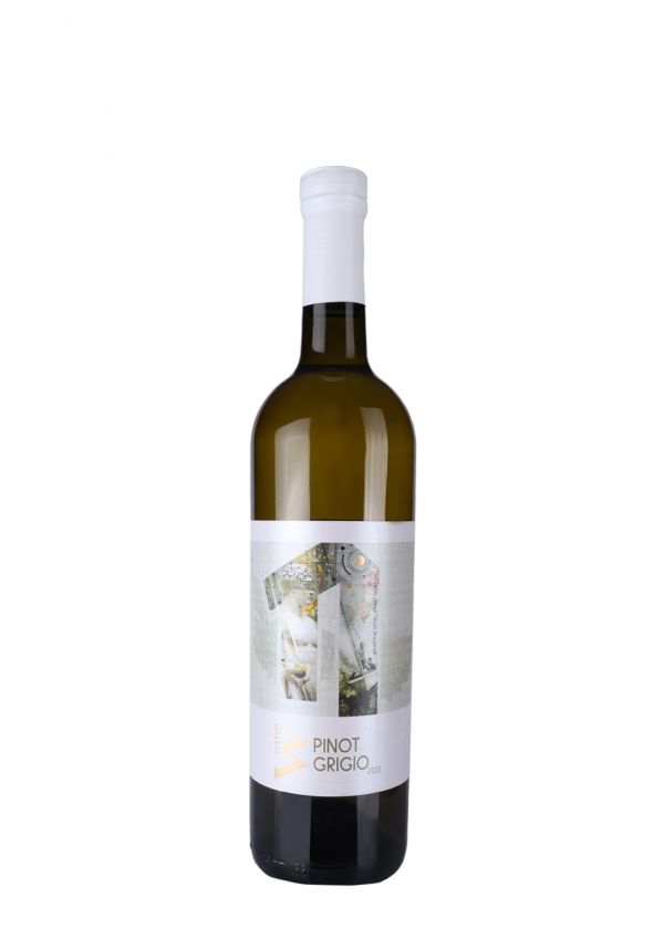 Virtus Pinot Grigio 